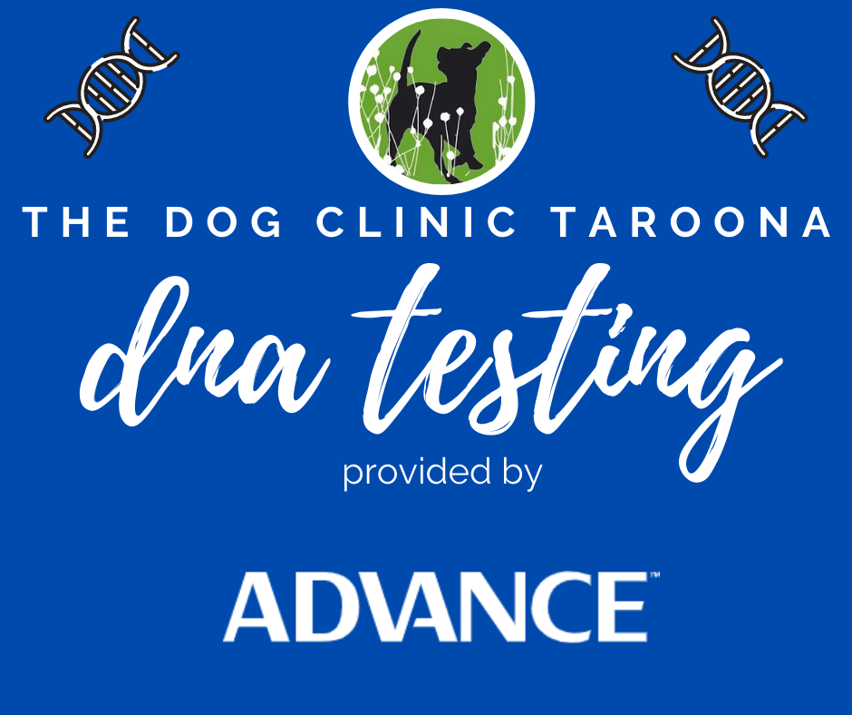 DNA Testing The Dog Clinic Hobart